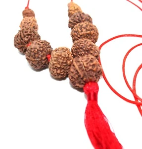 COLLAR SIDHA SIDDHA SIDH MALA 1 A 14 CUENTAS MUKHI RUDRAKSHA INDONESIA RUDRAKSH - Imagen 1 de 5
