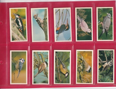 CARRERAS  / BLACK CAT - BRITISH BIRDS - FULL SET IN SLEEVES - Image 1 of 2