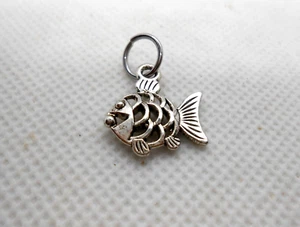 Fish Charm with Jump Ring - Picture 1 of 1