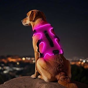 Light up Dog Harness,No Pull Led Dog Harness,Rechargeable Lighted Dog Harness fo - Picture 1 of 12