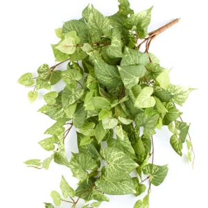 28" Light Green Artificial Potato Leaf Hanging Bush - Picture 1 of 3