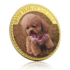  2018 Year of The Dog Poodle Gold Coin Pet Commemorative Medal Collectibles