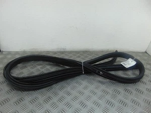 Renault Grand Modus Left Passenger Nearside Front Door Seal Rubber Mk1 2008-12D - Picture 1 of 4
