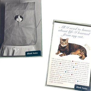 Cat 2 Vintage Portal Blank Notecard Sets w/Evps All I Need To Know In Bag 90s - Picture 1 of 6