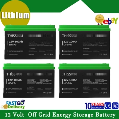 12V LiFePO4 Battery 100Ah Cycle Maintenance Free Home Energy Storage Battery Lot - Image 1 of 4