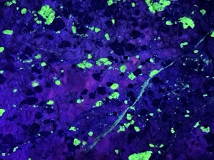 Fluoreszierender Willemit Calcit Franklinit Mineral Sterling Mine, New Jersey (38 - Bild 1 von 15