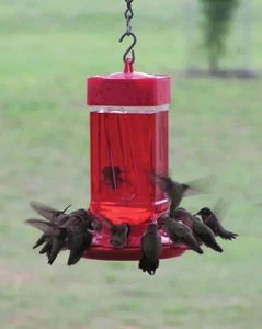 FIRST NATURE HUMMINGBIRD FEEDER 32 OZ WIDE MOUTH #3055 EASY CLEAN - MADE IN USA - Picture 1 of 4