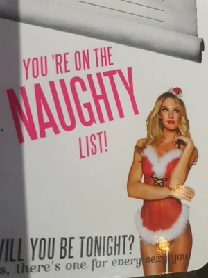  Victoria’s Secret Sexy Little Things Costume  Santa Baby Size MEDIUM - Image 1 of 4