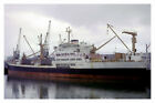 Rp06789 - Harrison Line Cargo Ship - Discoverer - Print 6X4