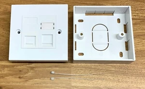 RJ45 CAT 5e + BT SLAVE SOCKET MODULES IN TWIN FACEPLATE WITH BACK BOX ALL KAUDEN - Picture 1 of 2
