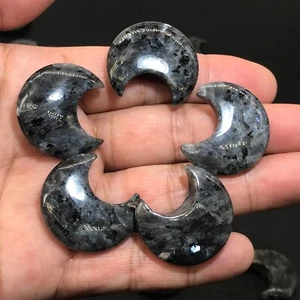 5pcs natural black spectrolite Moon quartz crystal skull reiki healing gems - Picture 1 of 7