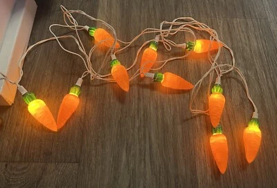 Bunnyville Gardens EE. UU. Juego de 10 Cuerdas de Zanahoria Juego Ligero De Colección En Caja Pascua  Foto 1 de 4