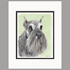 Schnauzer Dog Giant Standard Original Art Print 8x10 Matted to 11x14 - Picture 1 of 1