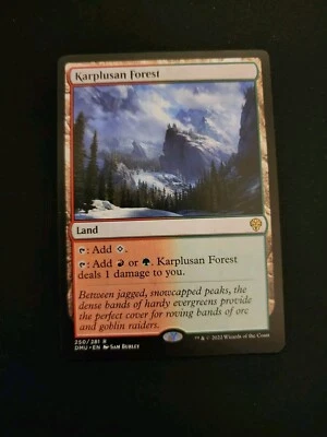 Karplusan Forest 250/281 Non Foil Rare Dominaria United Magic The Gathering NM - Image 1 of 2