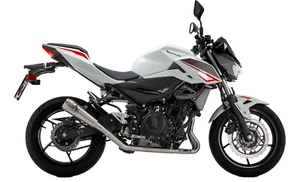 TERMINALE DI SCARICO ARROW PRO-RACE INOX EURO5+ PER KAWASAKI Z 500 / NINJA 500 - Bild 1 von 4
