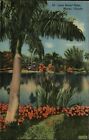 Miami Florida Lone Palm tree lake flowers mailed 1948 vintage linen postcard