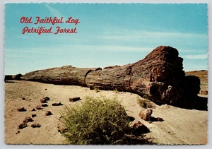 Vintage Arizona Petrified Forest National Park Old Faithful Log Chrome Postcard - Picture 1 of 2