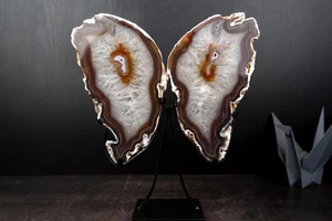 Natural Agate Slices Set as Butterfly Wings Sculpture - Picture 1 of 10