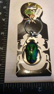 Lucite Schlüsselanhänger Anhänger grüne Rose Chafer Käfer. - Bild 1 von 3