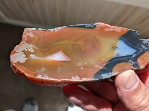 Brazilian Agate Slabs 2, 1/2in Thick 12.9oz