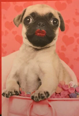 Pug Wearing Lipstick, Funny/cute, Happy Valentine’s Day, Greeting Card - Image 1 of 3
