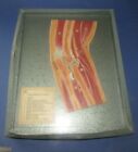 cadre Maquette Anatomie anatomique somso anatomical model vintage 1960-70