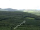 Photo 6X4 Whitrope Forest And Langside Mid Burn/Nt4902 A View From The W C2010