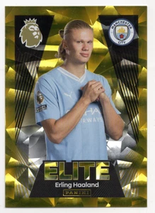 #427 Adesivo Erling Haaland Panini Premier League Inglese 2023-2024 - Foto 1 di 2