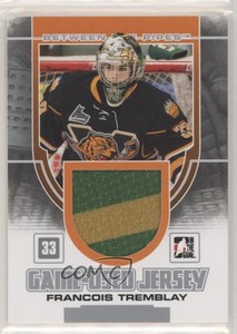 2013-14 ITG Between the Pipes Game-Used Silver Jersey /180 Francois Tremblay