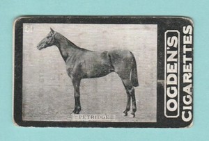 RACEHORSE - OGDENS TABS - GENERAL INTEREST - D SERIES NO. 51  ( C )  -  1902
