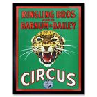Circus Ringling Bros Barnum Bailey Show Jaguar Cat 12X16 Inch Framed Art Print
