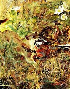 Weasel with Chaffinch by Swedish  Bruno Liljefors. Canvas Animals. 11x14 Print