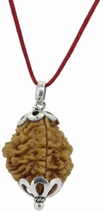 2 Mukhi Two Faced Nepali Rudraksha Beads Pendant 925 Silver Bead For Men & Women - Bild 1 von 4
