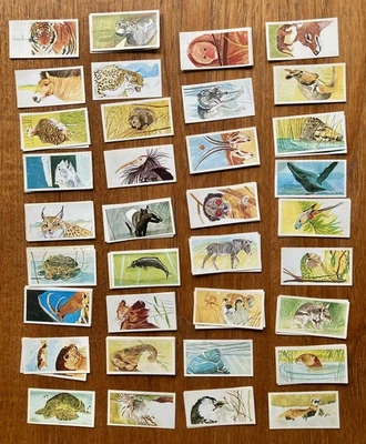 Brooke Bond Vanishing Wildlife Tea Cards See description For Numbers - Image 1 of 2