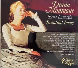DIANA MONTAGUE - Bella Immagin:Beautiful Image - CD Box Opera Rara - Foto 1 di 2