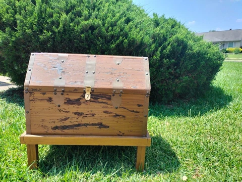 Vintage Banco de Mexico Rare Trunk Chest Cover