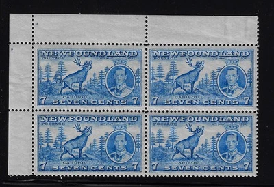 Newfoundland Scott 235 margin block 4, MNH, CV $12++, VF-XF, Fresh color (a8102a - Image 1 of 3