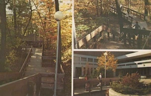 Rustic Stairway - Campus of UW Eau Claire, Wisconsin - unposted RPPC - Picture 1 of 3