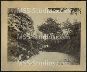 FIDDLER'S ELBOW, BONTDDU, WALES - Boy in Pony & Trap - Albumen Photo 1860s - Picture 1 of 2