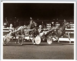 Trabrennen Traber Pferderennen D I Ruthie Dear Meadowlands 8x10 Foto #2  - Bild 1 von 2