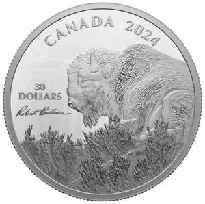 2024 Canada $30 Weather Watch: Bison, by Robert Bateman - 2 oz Fine Silver Coin - Picture 1 of 3