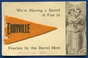 Eddyville Iowa Ia Filz Wimpel Postkarte - Bild 1 von 2