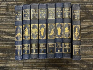 THE BOOK OF LIFE BIBLE TREASURES 8 Volume 100% Complete Set Navy blue - Bild 1 von 8