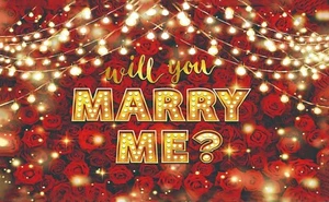 Will You Marry Me Flagge/Banner 5 Fuß x 3 Fuß Heiratsantrag Banner - Bild 1 von 1