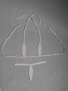 Sexy Hot Exotic Lingerie with G-String Thong  Size Large - Picture 1 of 3