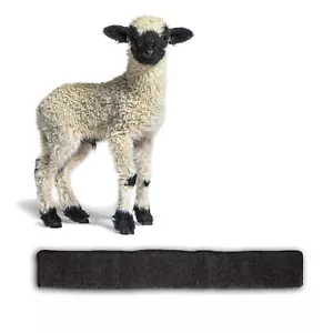 Tür Zugluftstopper Windstopper 100cm anthrazit für Türen Dichtung Rolle Durchzug - Bild 1 von 7