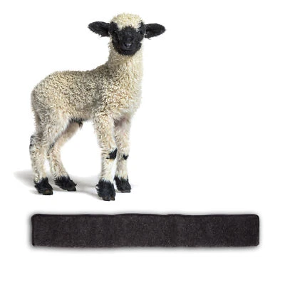 Tür Zugluftstopper Windstopper 100cm anthrazit für Türen Dichtung Rolle Durchzug - Bild 1 von 4