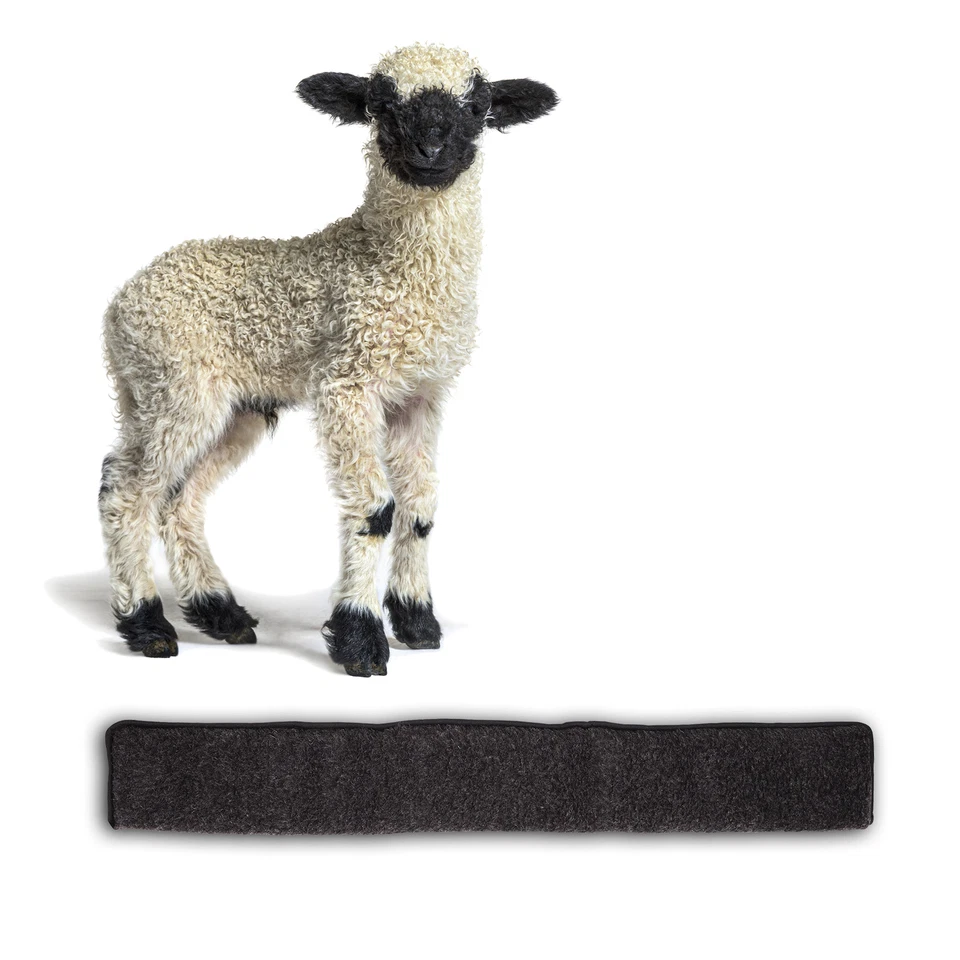 Tür Zugluftstopper Windstopper 100cm anthrazit für Türen Dichtung Rolle Durchzug - Bild 1 von 4