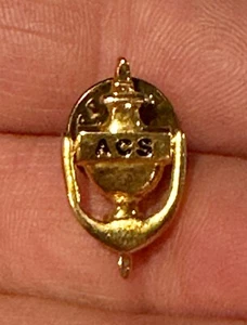 Vtg American Cancer Society ACS Volunteer Service Gold Tone Lapel Pin - Picture 1 of 5