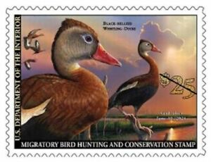 #RW87  2020 Federal Duck Stamp  - MNH 